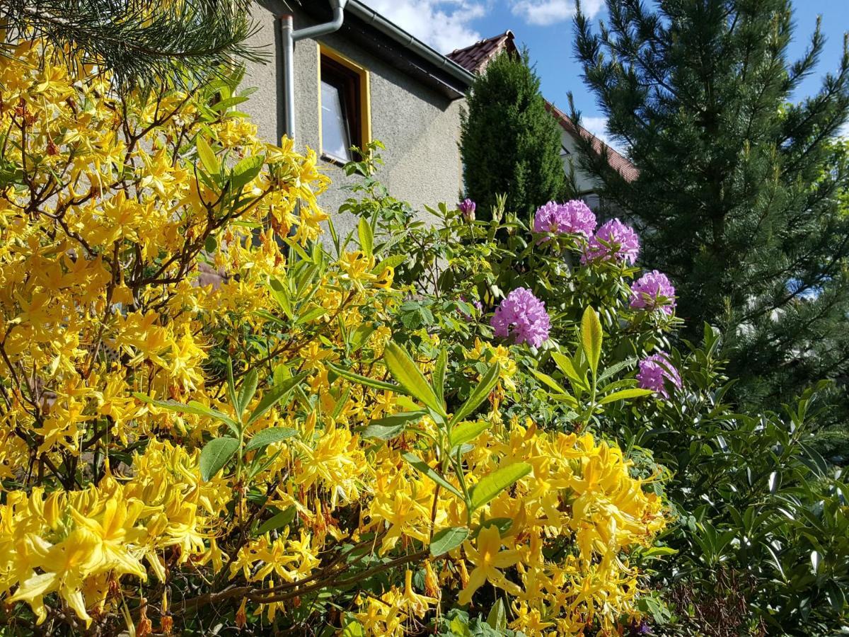 Ferienhaus Am Kirchberg Kurort Steinbach-Hallenberg Экстерьер фото